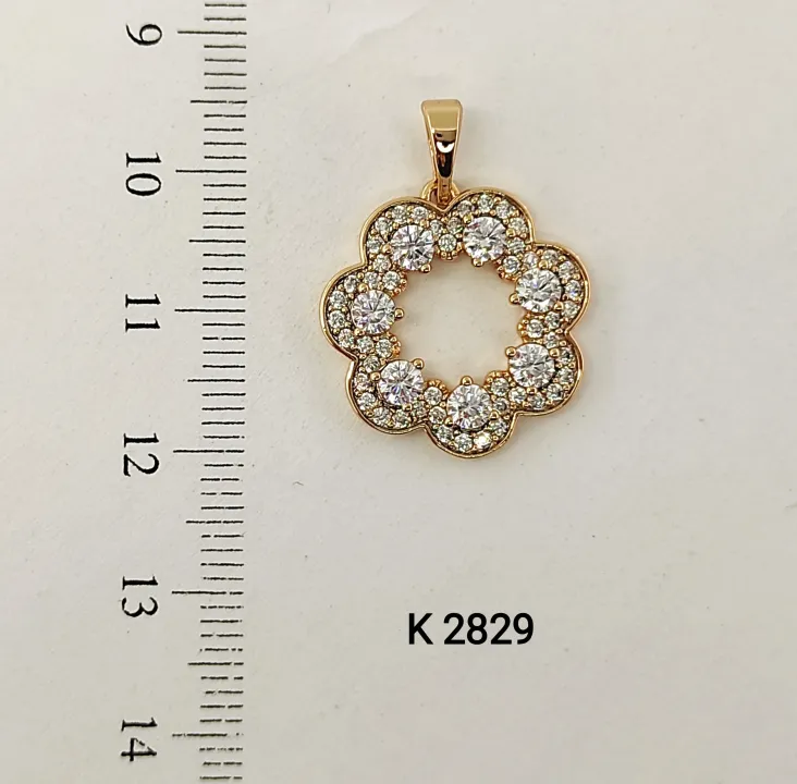 K 2829